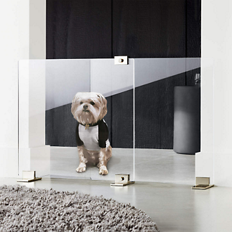 Pet Accessories