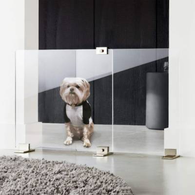 Pet Accessories