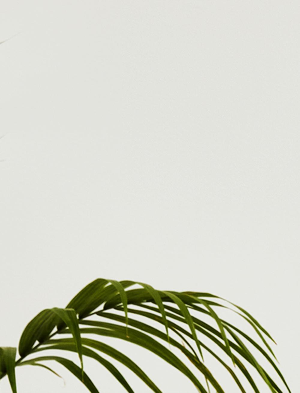 CB2 Sale Discounts & Deals on Furniture + Decor CB2 Canada