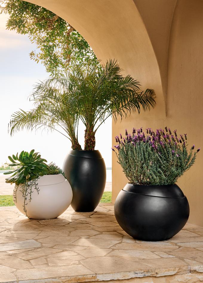 Modern Outdoor Planters: Outside Planter Bowls & Patio Plant Pots