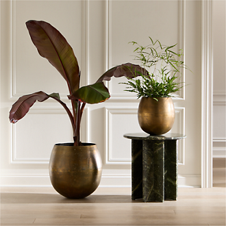Plants & Planters