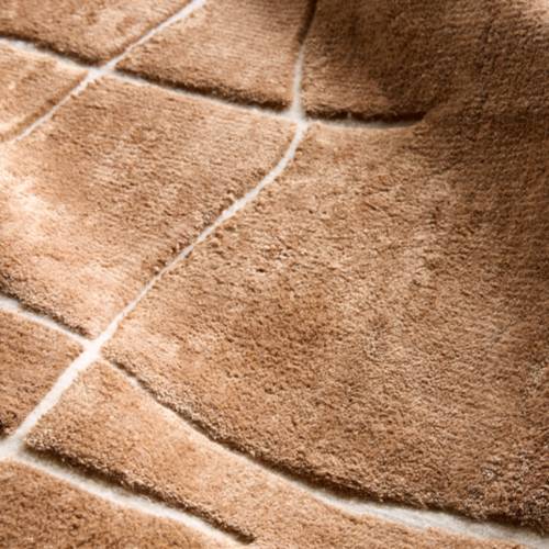 Viscose