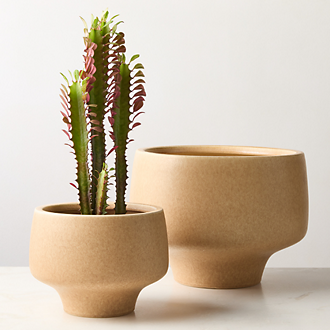Planters