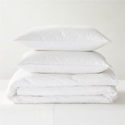 All Season Down King Duvet Insert