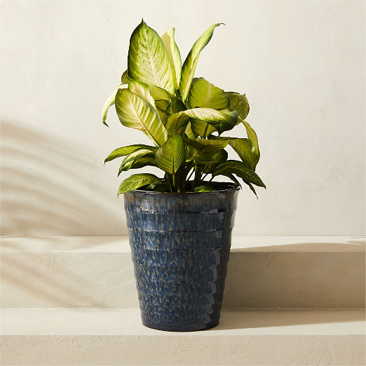 Anilla Ribbed Dark Blue Glazed Clay Indoor/Outdoor Planter Large