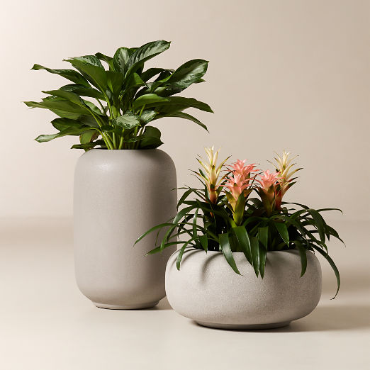 Anique Round Grey Cement Indoor/Outdoor Planters