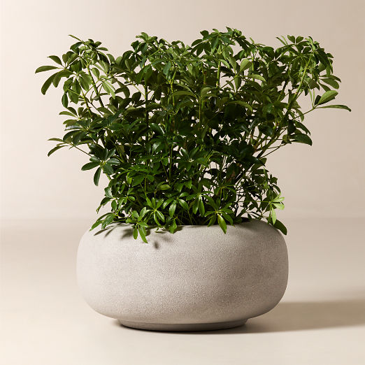 Anique Round Grey Cement Indoor/Outdoor Medium Planter 12"H