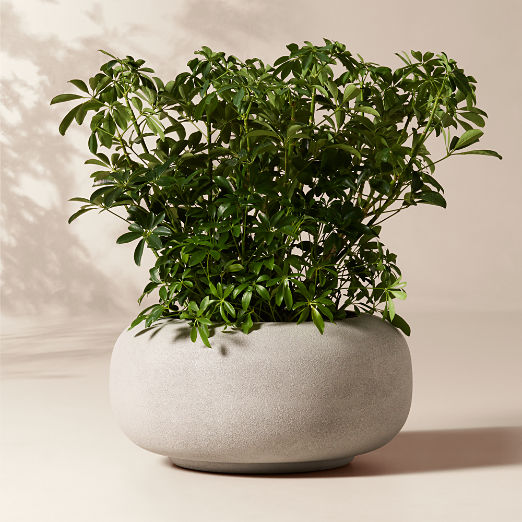 Anique Round Grey Cement Indoor/Outdoor Medium Planter 12"H
