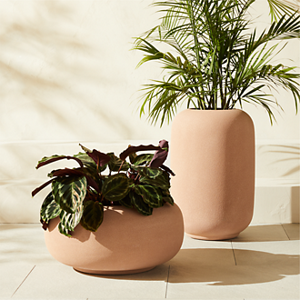 Planters