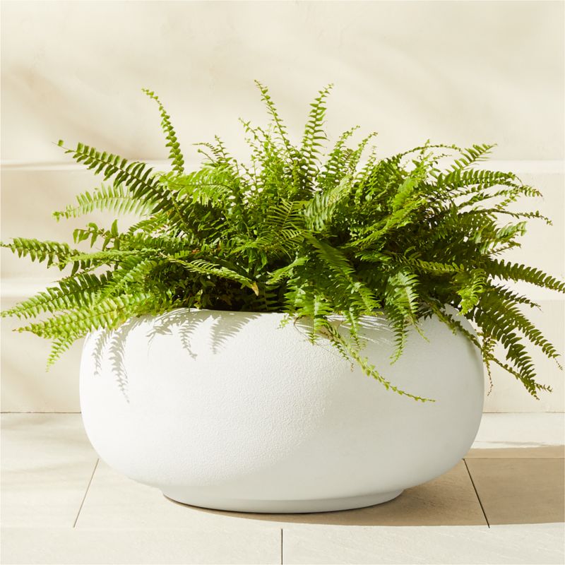 Anique Round White Cement Indoor/Outdoor Planter Short - image 0 of 6