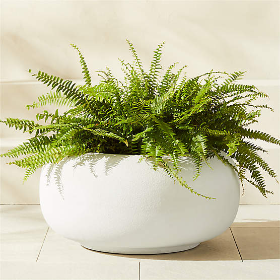 Anique Round White Cement Indoor/Outdoor Planter Short