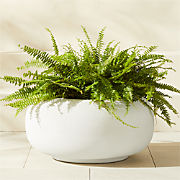 Anique Round White Cement Indoor/Outdoor Planter Short