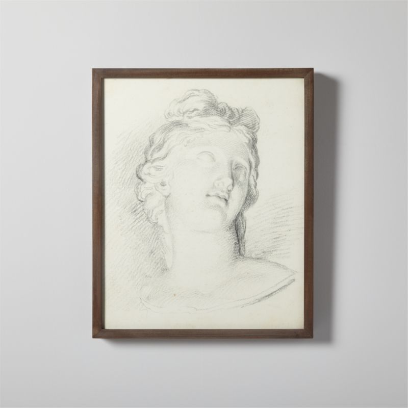 'Antique Bust of a Conspicuous Woman' Framed Reproduction by Bernard Picart 16"X20" - image 0 of 12