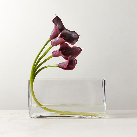 Ardin Clear Glass Vase