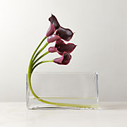 Snack Medium Glass Canister by Jennifer Fisher
