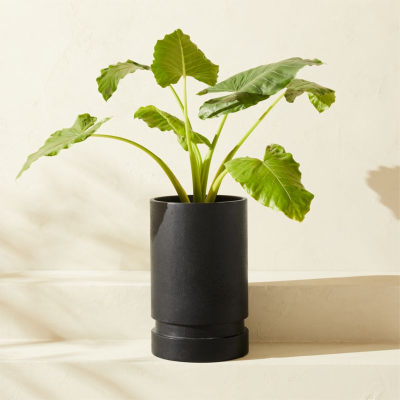 Argo Round Black Cement Indoor/Outdoor Planter Medium - image 0 of 5