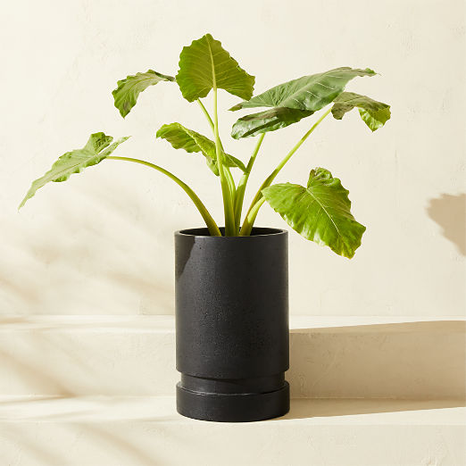 Argo Round Black Cement Indoor/Outdoor Medium Planter 21"H
