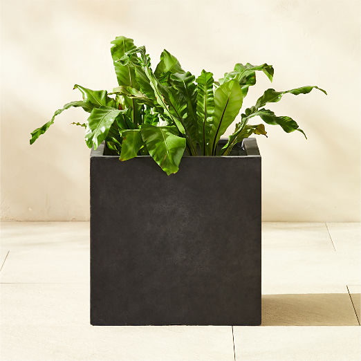 Ash Square Dark Grey Cement Indoor/Outdoor Medium Planter 15.5"H