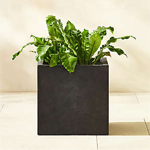 Modern Square Outdoor Patio Planters, Planter Bowls and Plant Pots | CB2