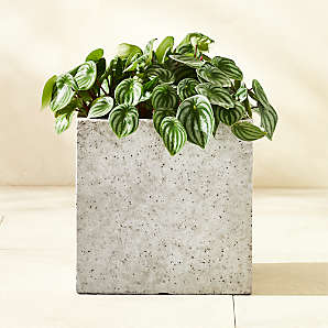 Modern Square Outdoor Patio Planters, Planter Bowls and Plant Pots | CB2