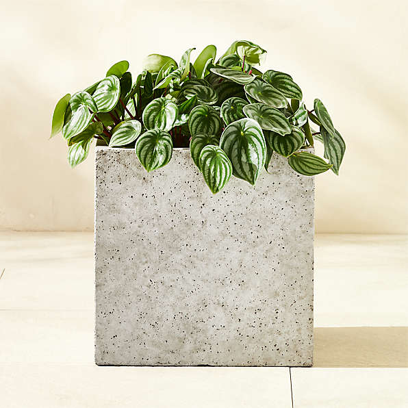 Modern Square Outdoor Patio Planters, Planter Bowls and Plant Pots | CB2