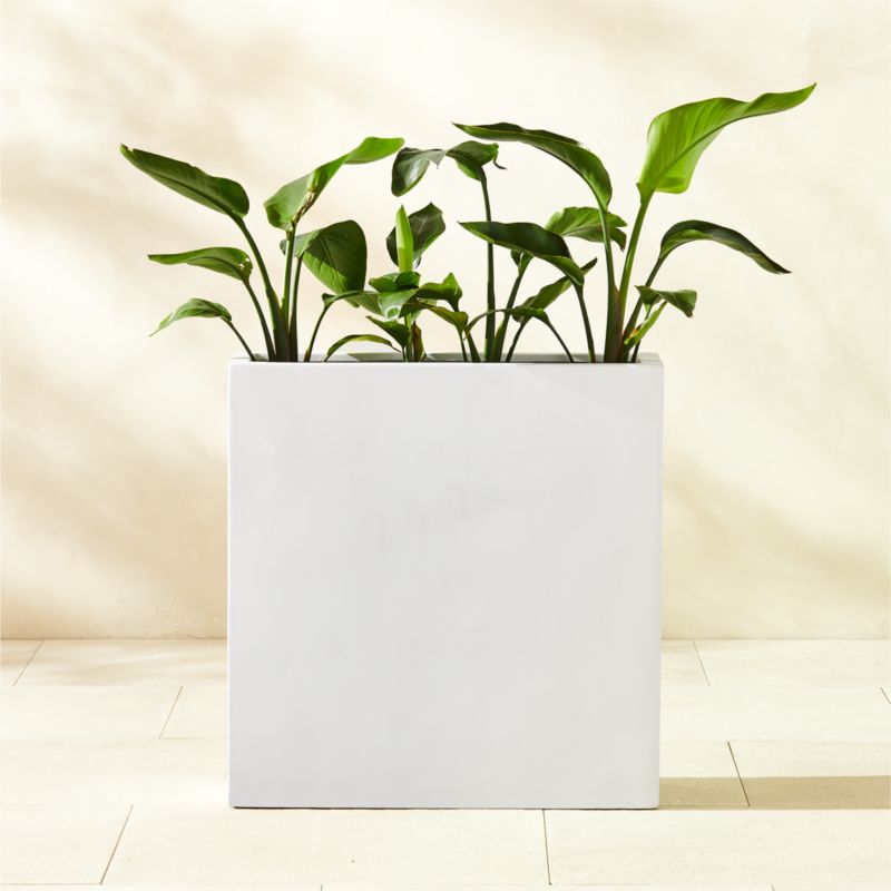 Ash Rectangular White Cement Indoor/Outdoor Planter Large - image 3 of 6