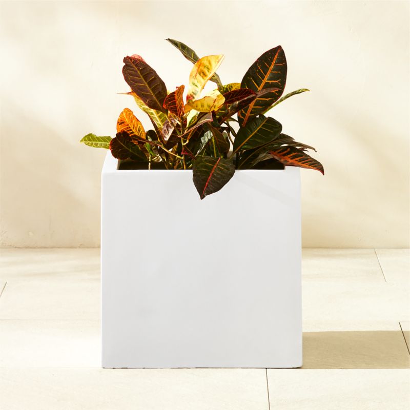 Ash Square White Cement Indoor/Outdoor Planter Small - image 3 of 6