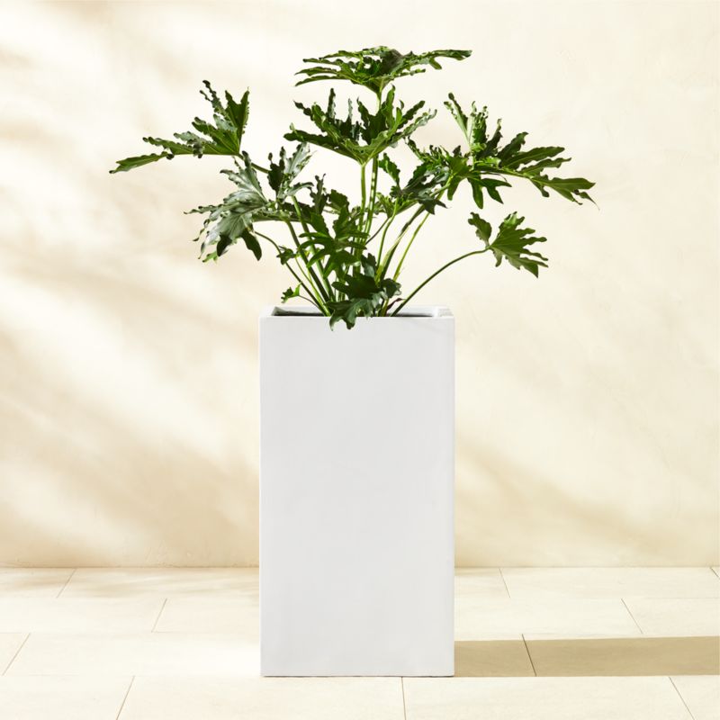 Ash Square White Cement Indoor/Outdoor Planter Tall - image 3 of 6