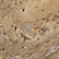 Travertine