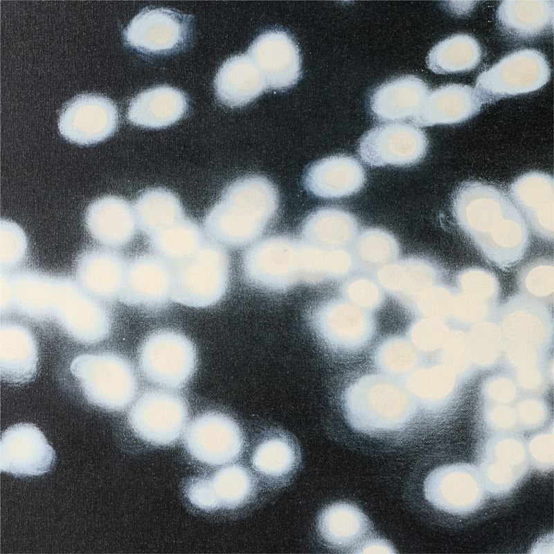 'Awash in the Luminous I' Framed Wall Art 48"x72" - image 3 of 4