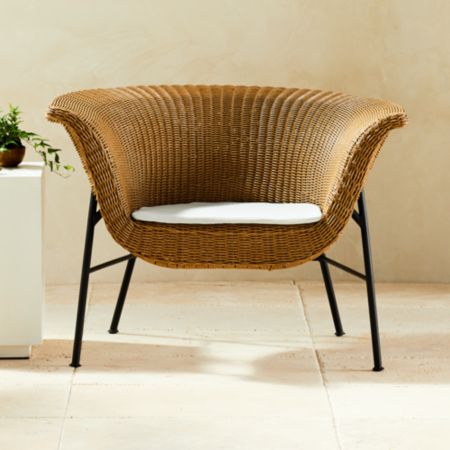 Outdoor Basket Chair Cb2