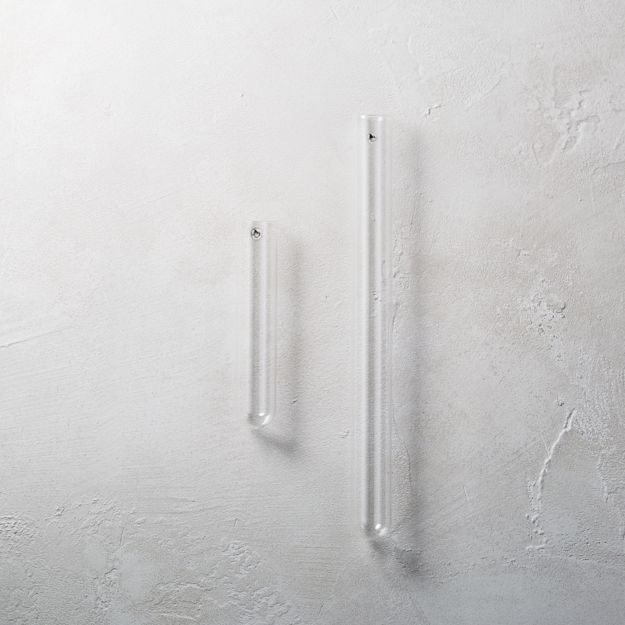 beaker glass tube wall vases CB2