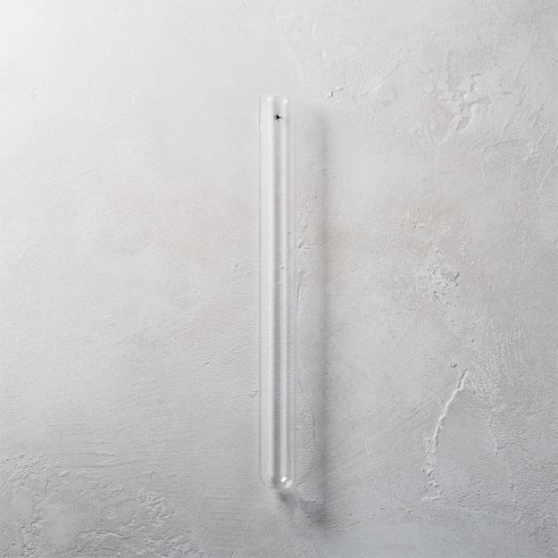 beaker glass tube 16" wall vase + Reviews CB2