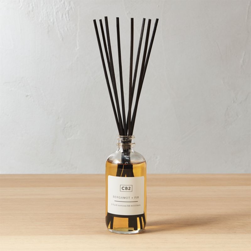 reed diffusers | CB2