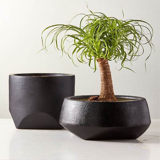 Bethel Black Ceramic Indoor Planters