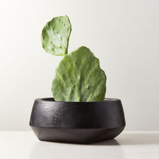 Bethel Black Ceramic Wide Indoor Planter