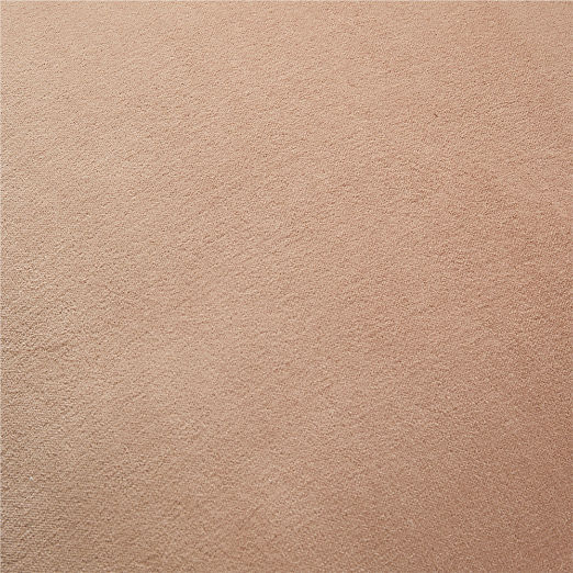 Bettie Light Brown Velvet Throw Pillow with Down-Alternative Insert 20"x20"