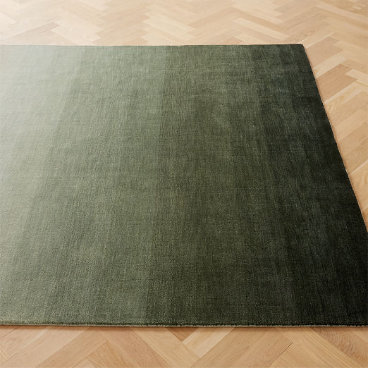 Bicoastal Handwoven Green Ombre Wool Area Rug