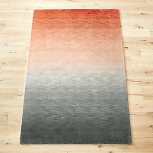 bicoastal rug