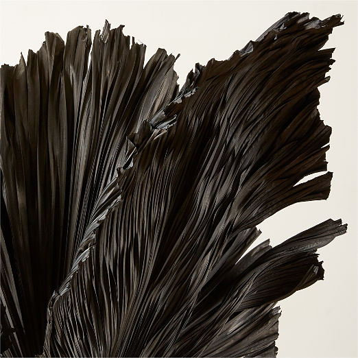 Black Dried Palm Leaves Set of 3