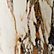 Golden Calacatta Marble