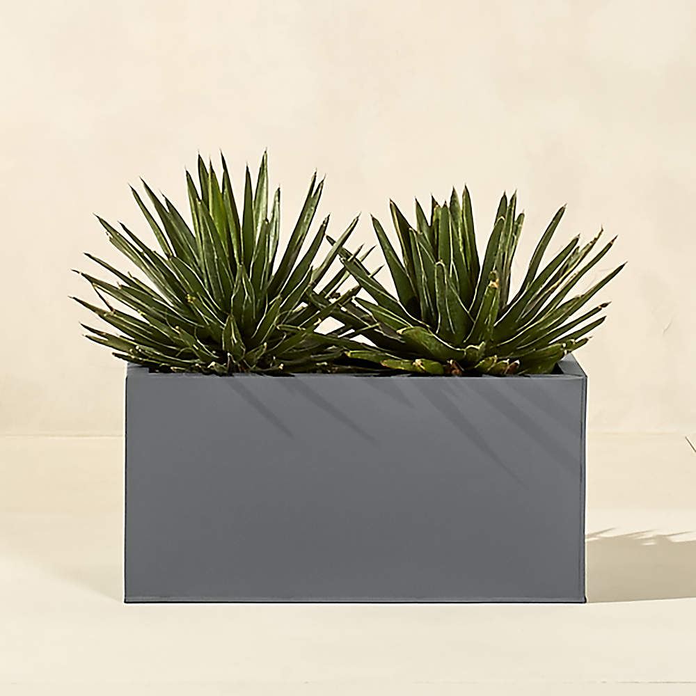 https://cb2.scene7.com/is/image/CB2/BloxLowRecPlntrChrcoal24inROS17/$web_pdp_main_carousel_sm$/190905021947/blox-24-low-galvanized-charcoal-planter.jpg