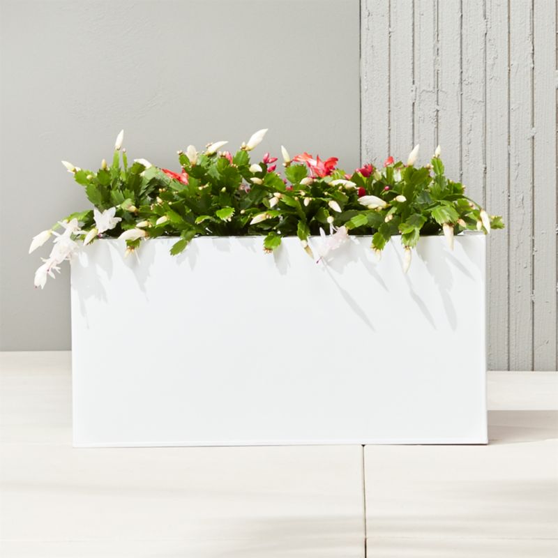 Blox Rectangular White Galvanized Steel Indoor/Outdoor Planter Small - image 1 of 11