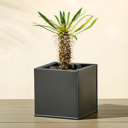 Modern Planters And Garden Pots Cb2 Blox Small Square Galvanized Charcoal Planter