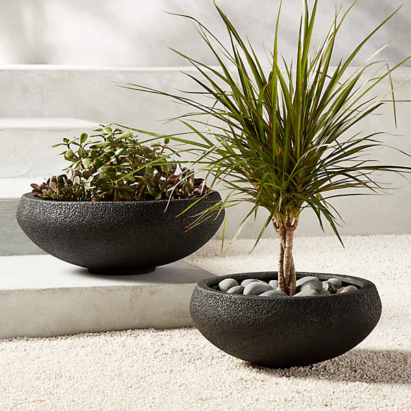 12 Extra Large Low Bowl Planters for Stunning Plant Designs - ePlanters