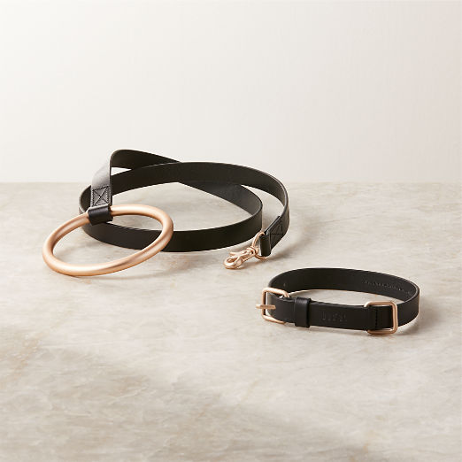 Boo Oh Lumi Black Leather and Gold Metal Large Pet Collar