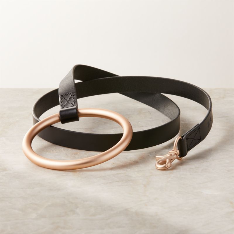 Viewing product image Boo Oh Lumi Black Leather and Gold Metal Pet Leash - image 1 of 3