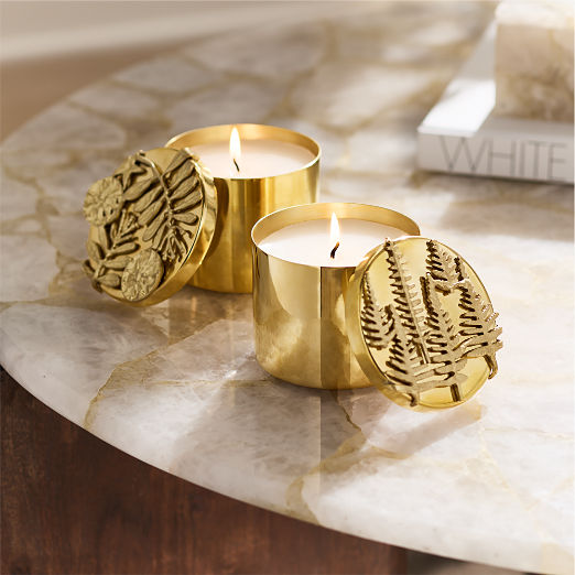 Cedarwood + Tobacco Scented Candle 14oz with Unlacquered Brass Lid