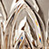 Smoked