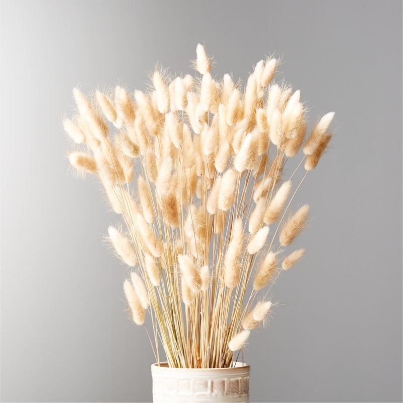 View Bunnies Tail Taupe Bunch 28" details